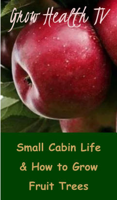 Small Cabin Life & How to Grow Fruit Trees Grow Health TV