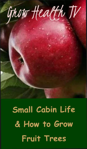 Small Cabin Life & How to Grow Fruit Trees Grow Health TV