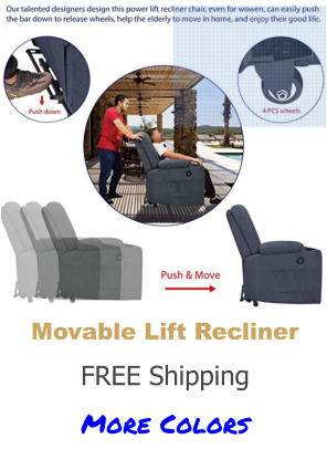 Movable Lift Recliner More Colors FREE Shipping Movable Lift Recliner